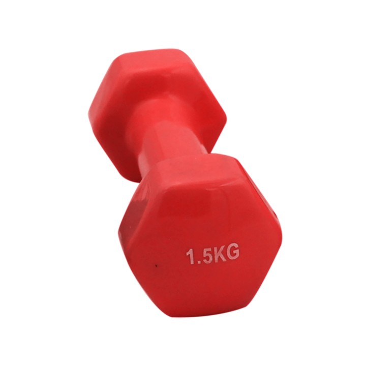 XAEQUO Haltère de Fitness et de Musculation en Vinyle, haltères colorées et Poids de 0,5kg à 5,0kg au Choix (1500)