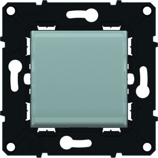 Arnould ARN51112 Interrupteur témoin 10 a Espace Evolution-enjoliveur, Gris Magnésium