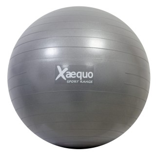 XAEQUO Ballon d'exercices Yoga Pilates Fitness et renforcement Musculaire diamètre 56cm en Couleur (Gris)