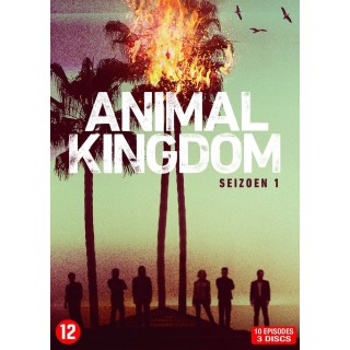 Animal Kingdom-Saison 1 [DVD]