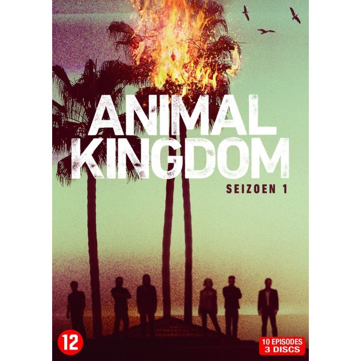 Animal Kingdom-Saison 1 [DVD]
