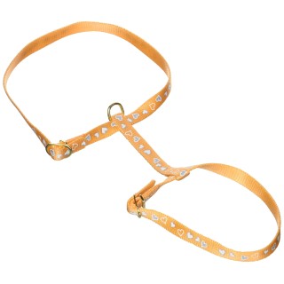 Zolux Harnais Réflectif Cœur pour Chat Orange 10 mm
