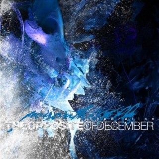 The Opposite of December [Import]