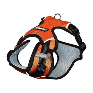 NUMAXES Harnais Sport Coneck'T - L : 80-105cm - Orange - Pour chien