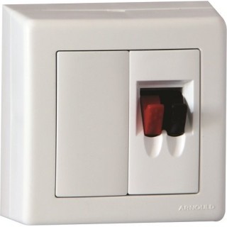 Arnould ARN53246 Prise haut-parleur simple profil - complet, Blanc lumière Aspect satiné