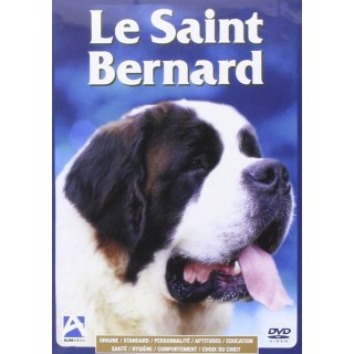 Le saint bernard