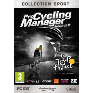 Pro Cycling Manager 2013 - silver